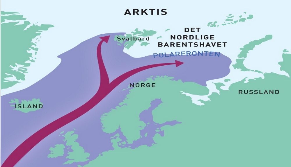 Las cálidas aguas del Atlántico (en color morado) que fluyen hacia el norte a lo largo de la costa noruega continúan el viaje hacia el Ártico en dos ramas principales: a través del mar de Barents y a través del estrecho de Fram, al oeste de Svalbard. En e