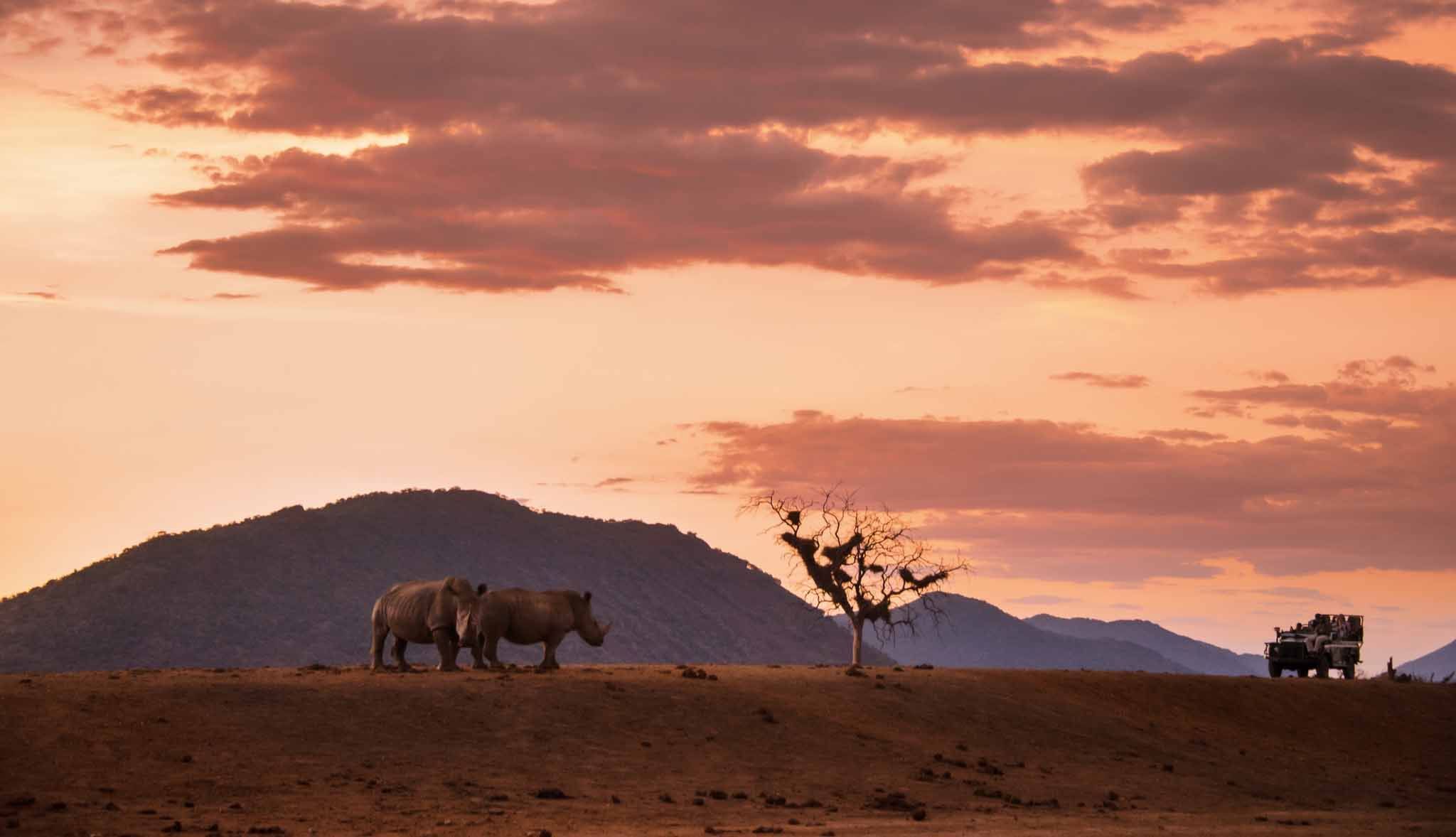 Viajes de eco-voluntariado en Sudáfrica Viajes de eco-voluntariado en Sudáfrica