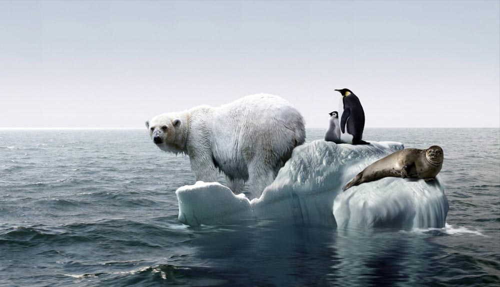10 acciones para combatir el calentamiento global