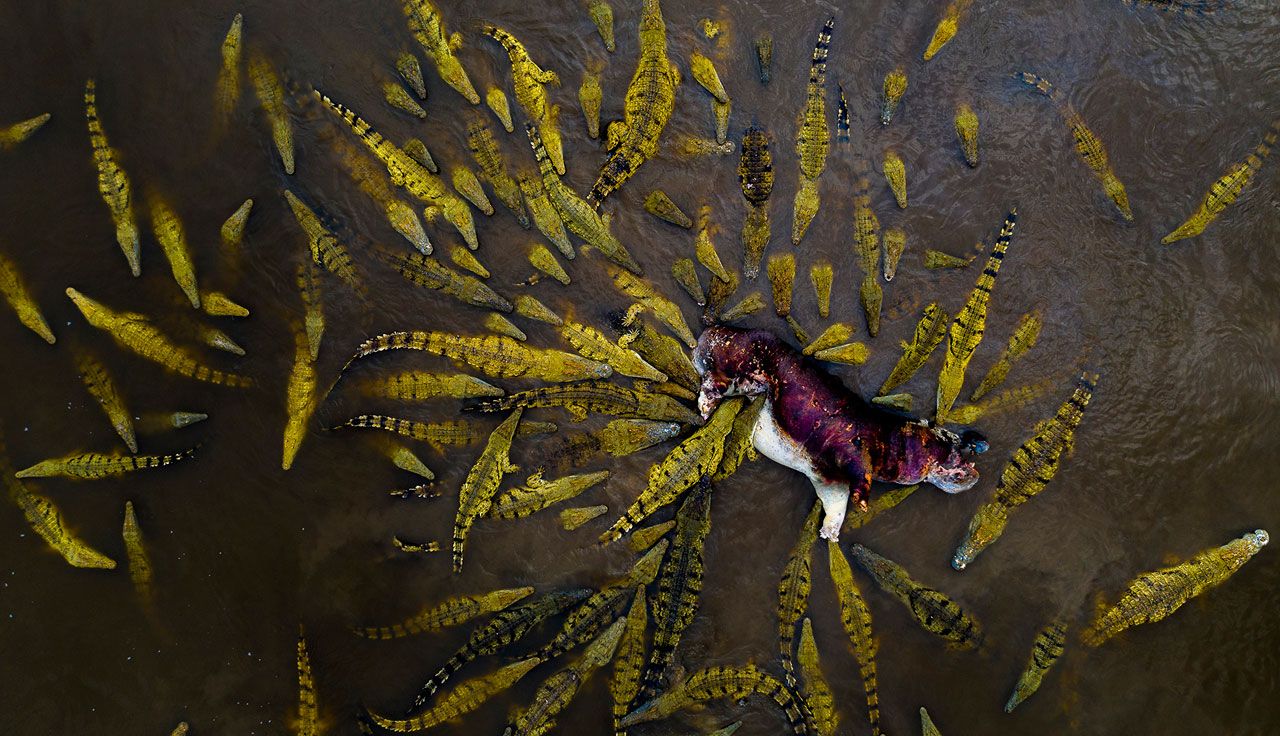 NATURAL RECYCLING, por IGNACIO MEDEM	España	 