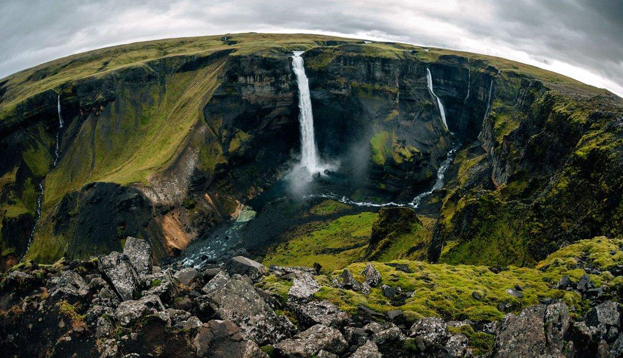 Establecer contacto con la belleza de la naturaleza hace la vida mucho más hermosa, mucho más real