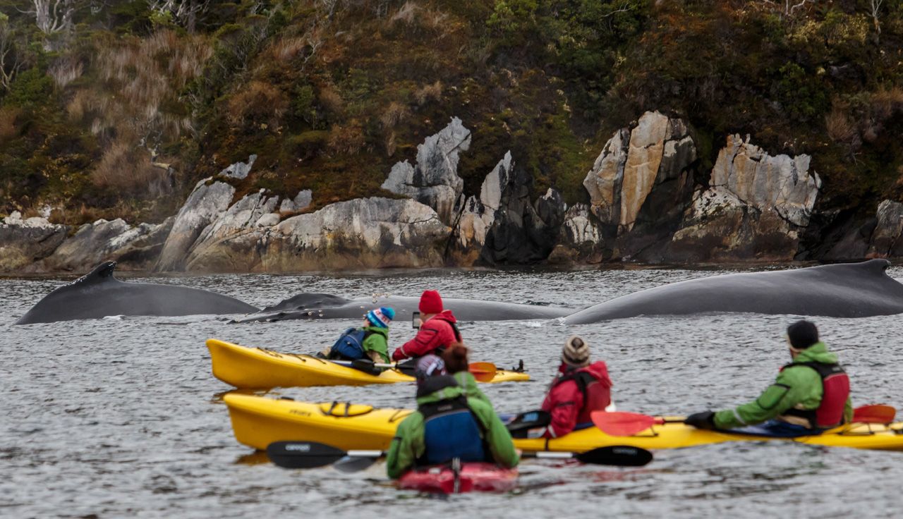 Tierra del Fuego