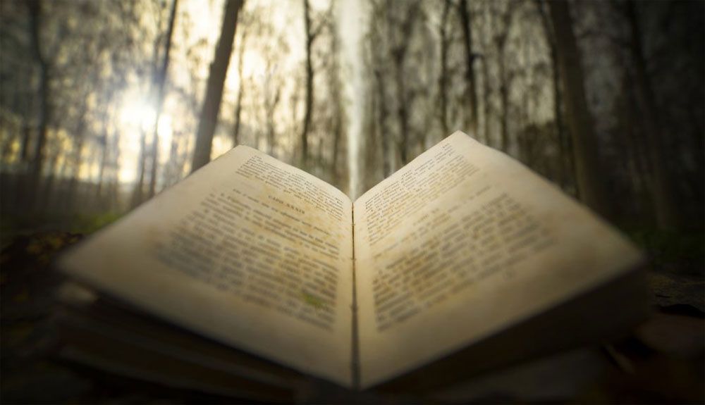 5 aventuras para celebrar el Día del Libro 5 aventuras para celebrar el Día del Libro