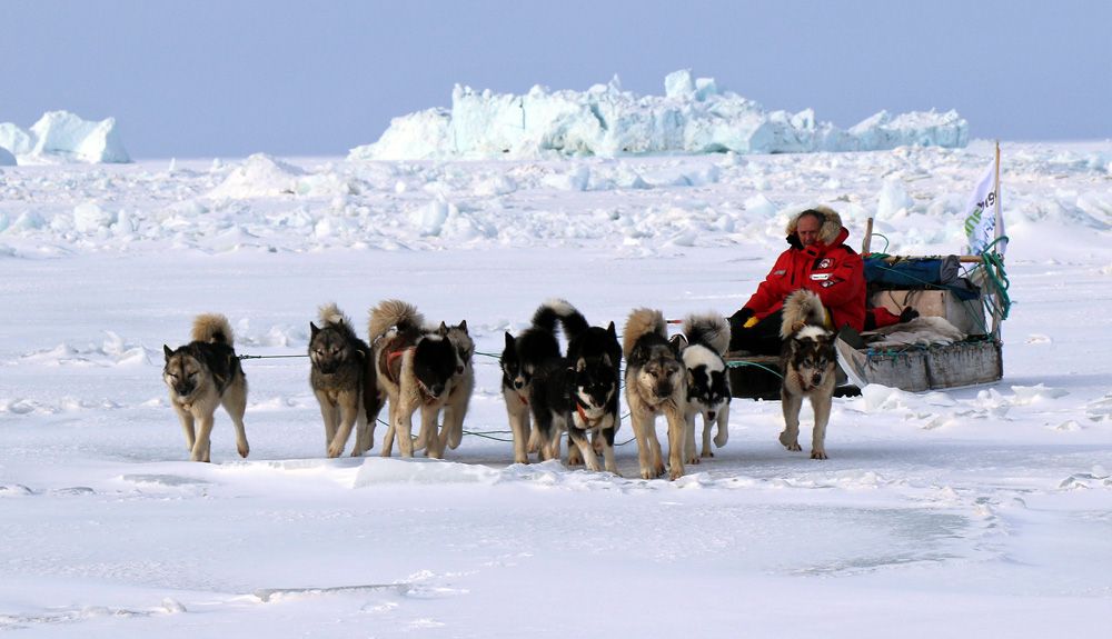 “En Groenlandia, perros y humanos se ayudan mutuamente a sobrevivir”
