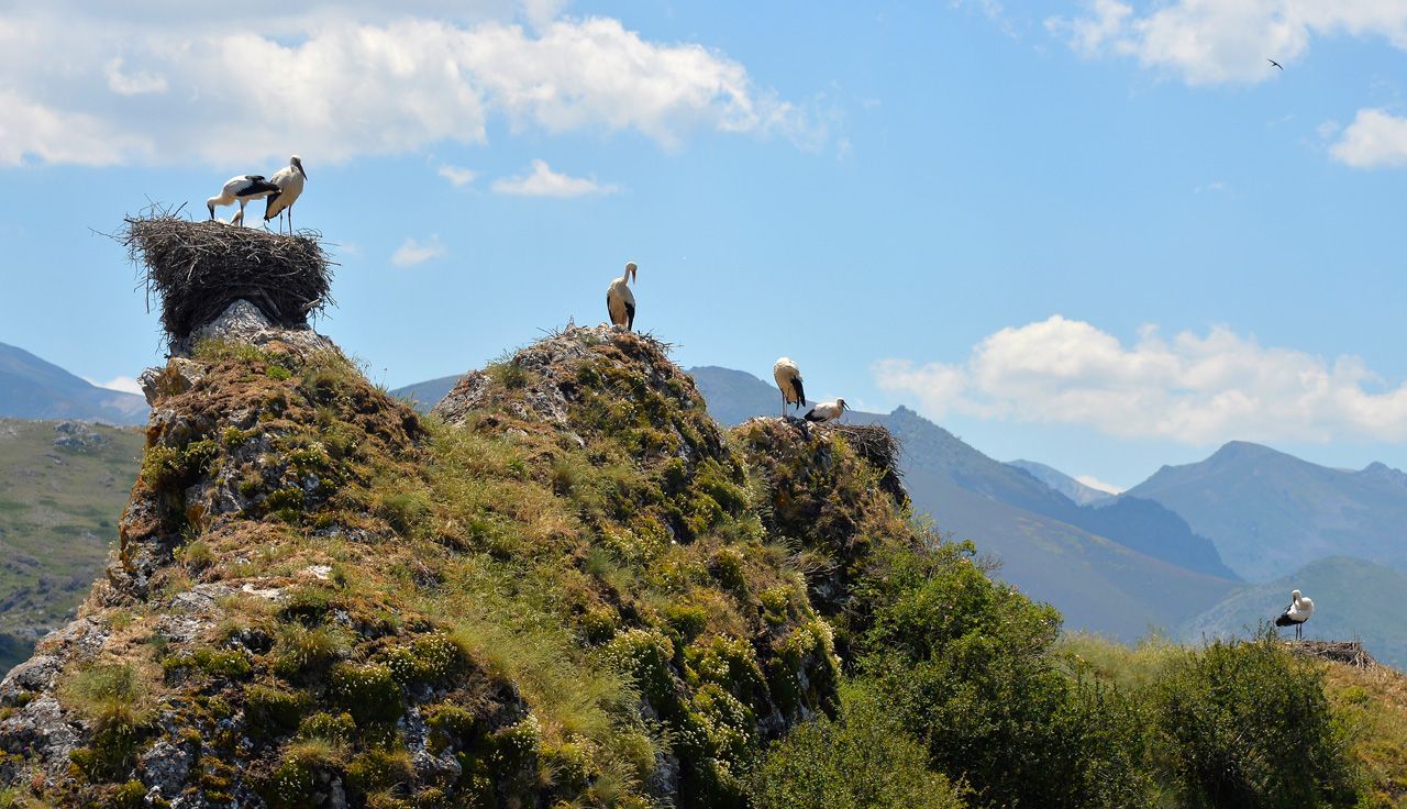 Babia: el paraíso verde