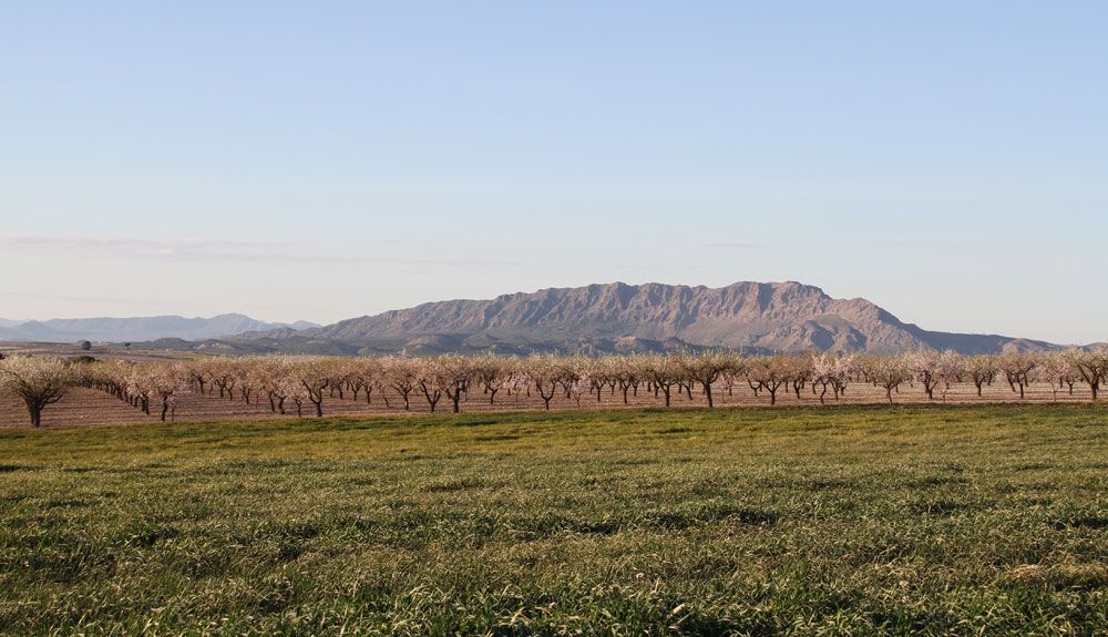 Descubre Murcia en 6 rutas senderistas