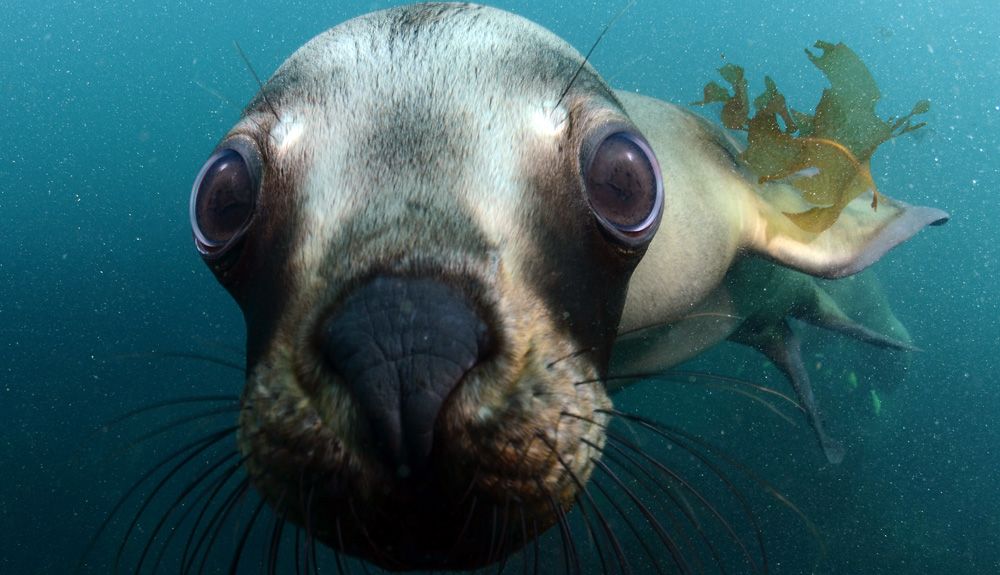 Puerto Madryn: un mundo nuevo por explorar