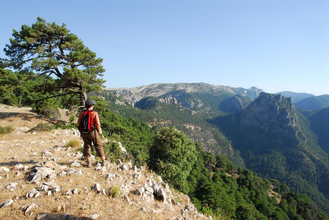 3 rutas por el Parque Natural de Cazorla, Segura y las Villas
