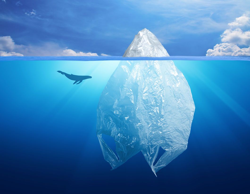 Cómo reducir nuestro impacto en la naturaleza Cómo reducir nuestro impacto en la naturaleza