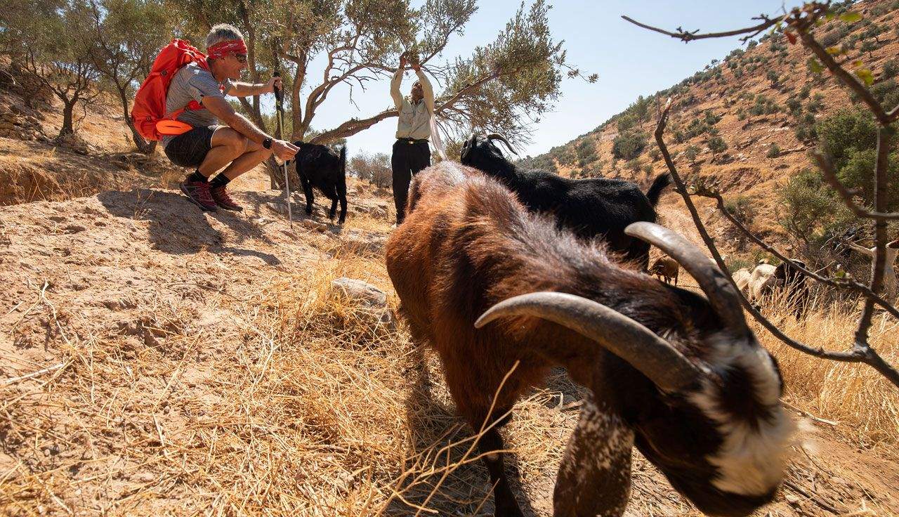 La magia del Jordan Trail
