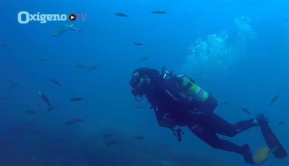 costa rica te oxigena buceo