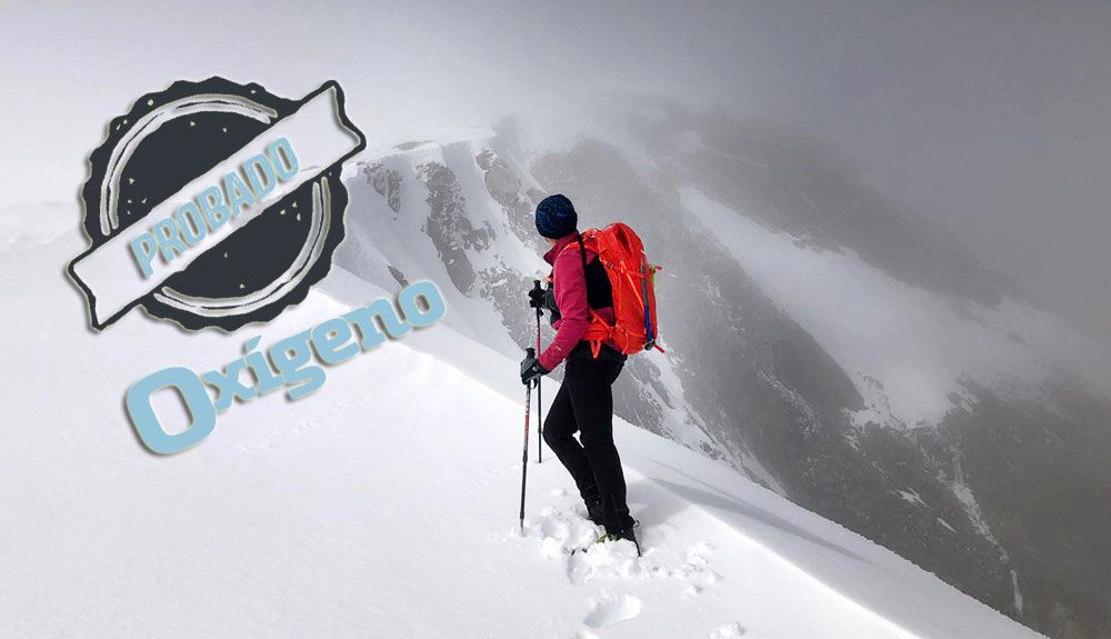 Test: Salewa Apex Wall