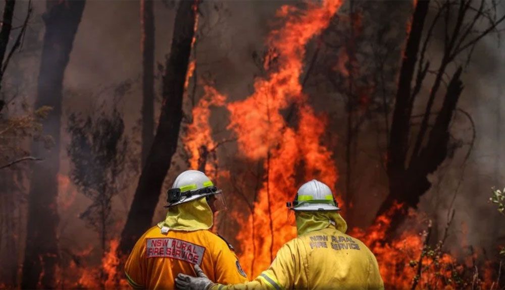 Ya es oficial: 2019 fue el segundo año más cálido de la historia