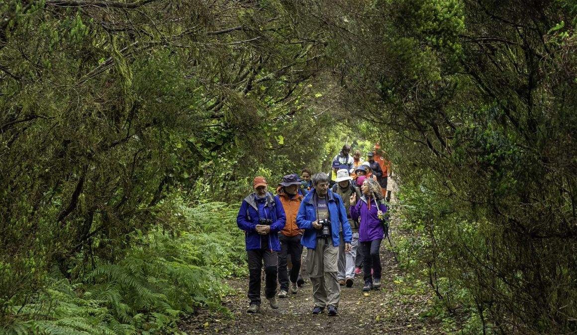Tenerife Walking Festival en imágenes