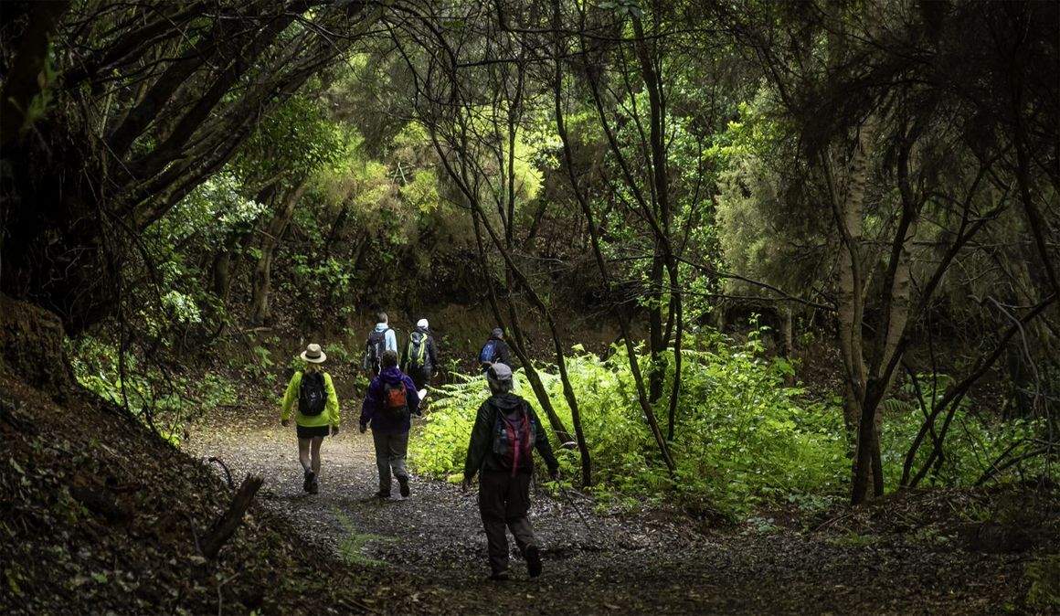 Tenerife Walking Festival en imágenes