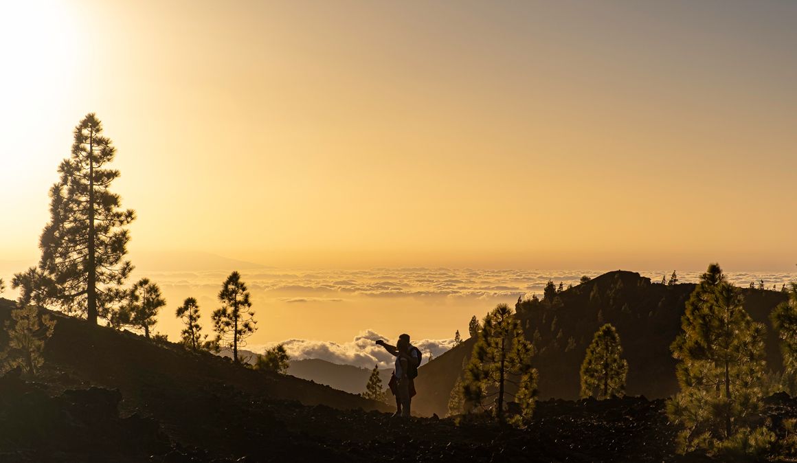 Tenerife Walking Festival en imágenes
