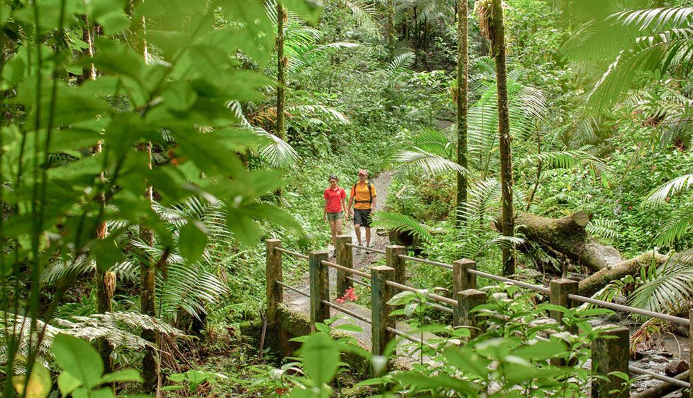 Seis viajes responsables en Puerto Rico