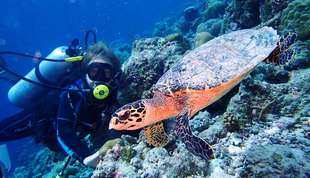 Material necesario y complementario para el buceo en Maldivas