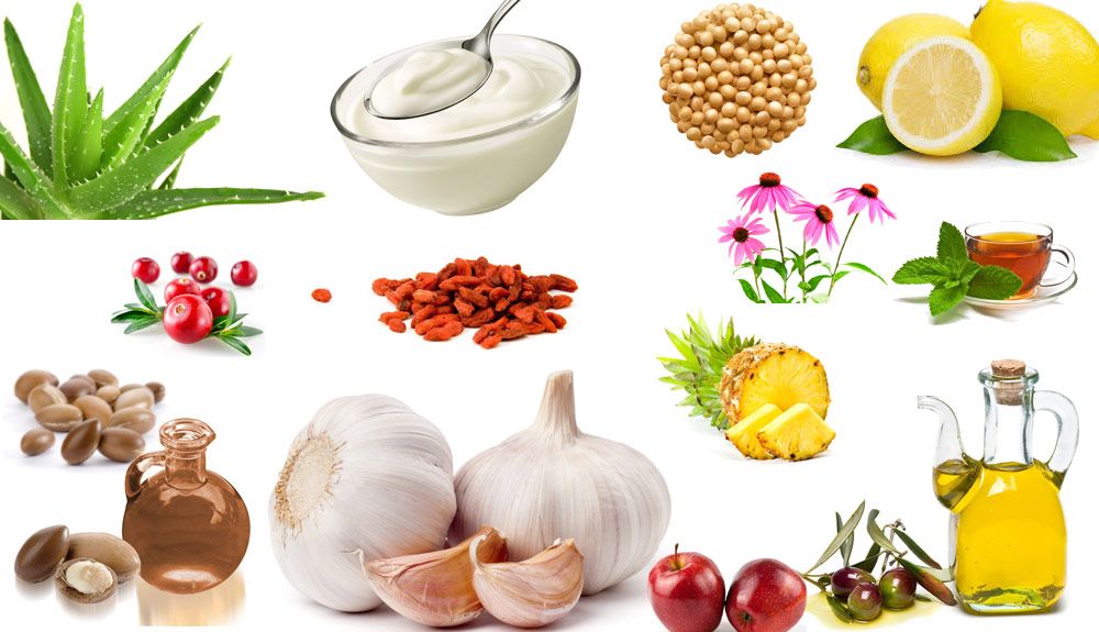 20 remedios naturales sin fronteras