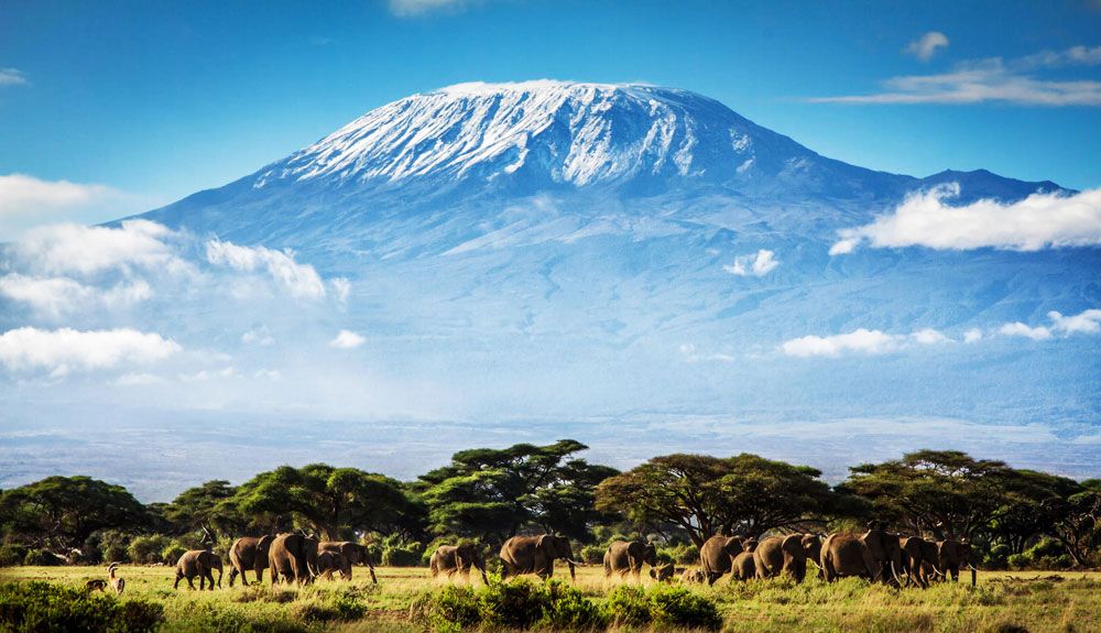 5 mujeres, tras su cáncer de mama, a por la cima del Kilimanjaro 5 mujeres, tras su cáncer de mama, a por la cima del Kilimanjaro