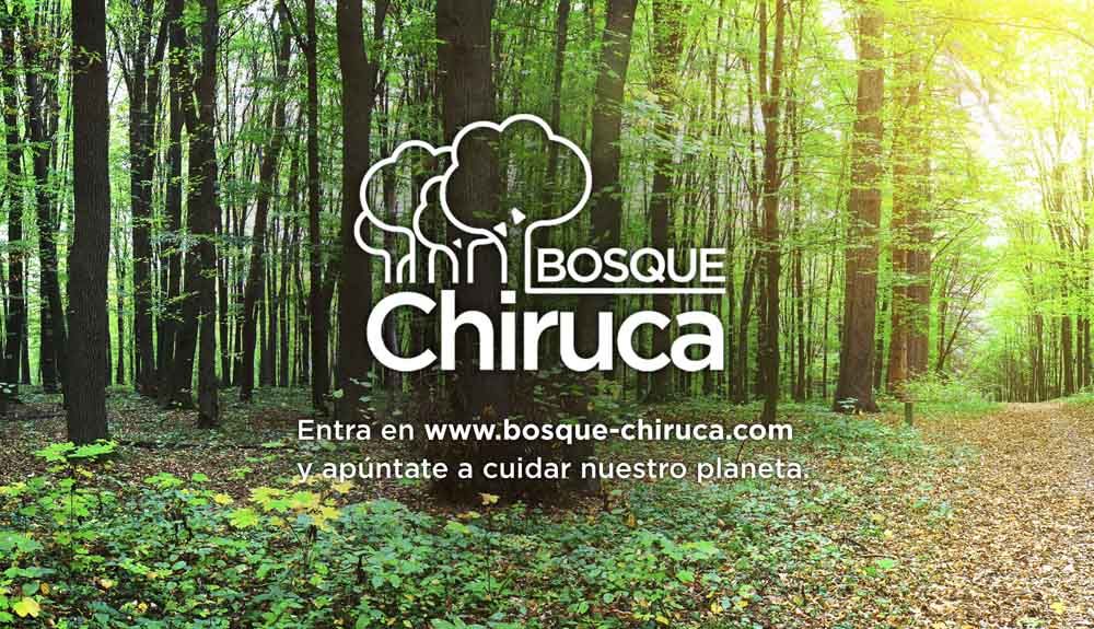 6.000 árboles para el futuro