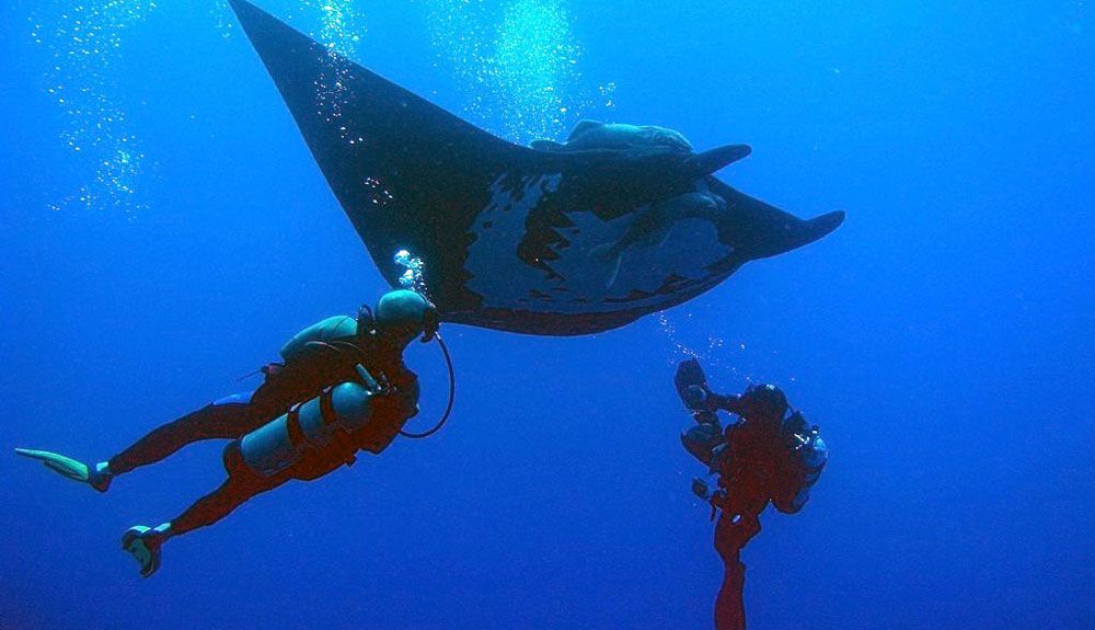 Puerto Vallarta y sus 5 razones para visitar México este invierno