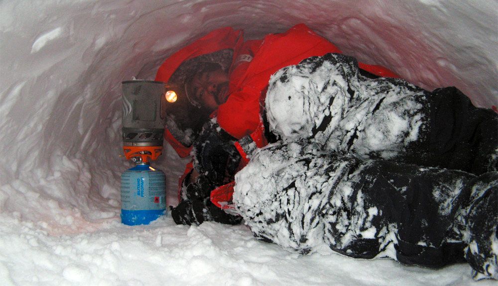 Supervivencia: nutrición invernal Supervivencia: nutrición invernal