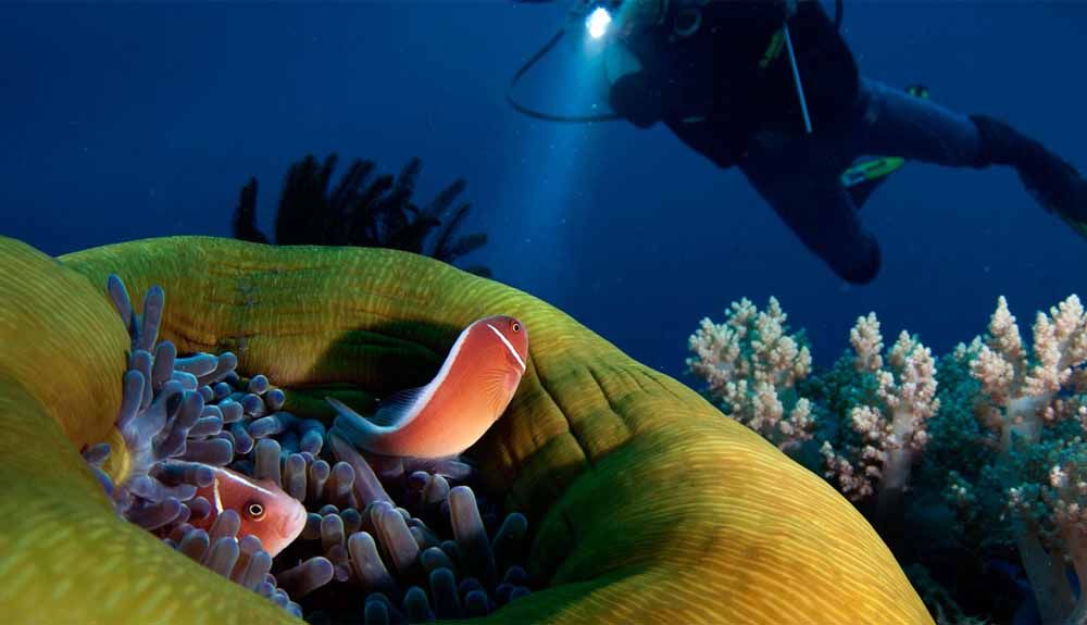 La joya del buceo en Filipinas