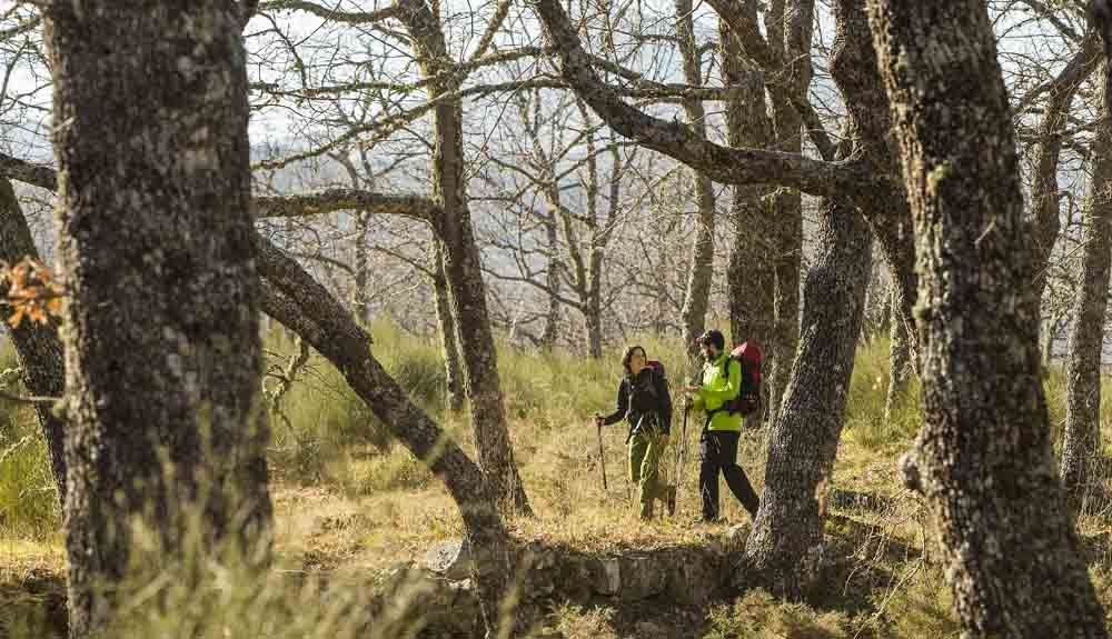 Renuévate en el Camino de Santiago con Oxígeno 85
