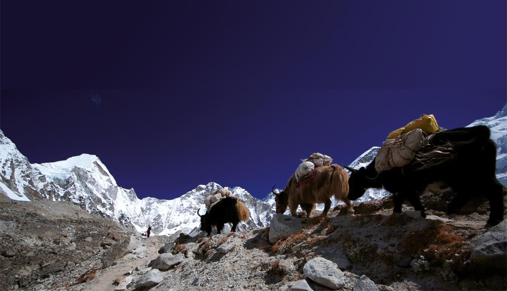 Prepara tu equipaje para el Himalaya Prepara tu equipaje para el Himalaya