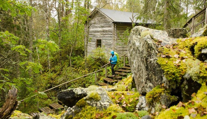Finlandia salvaje en 15 fotografías