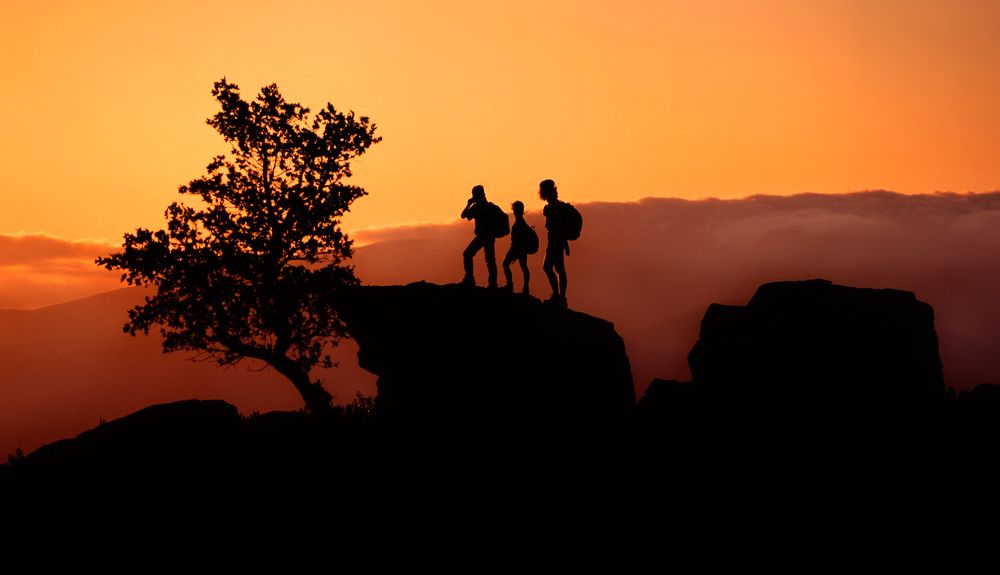 La selva del sur: 6 rutas en los Alcornocales