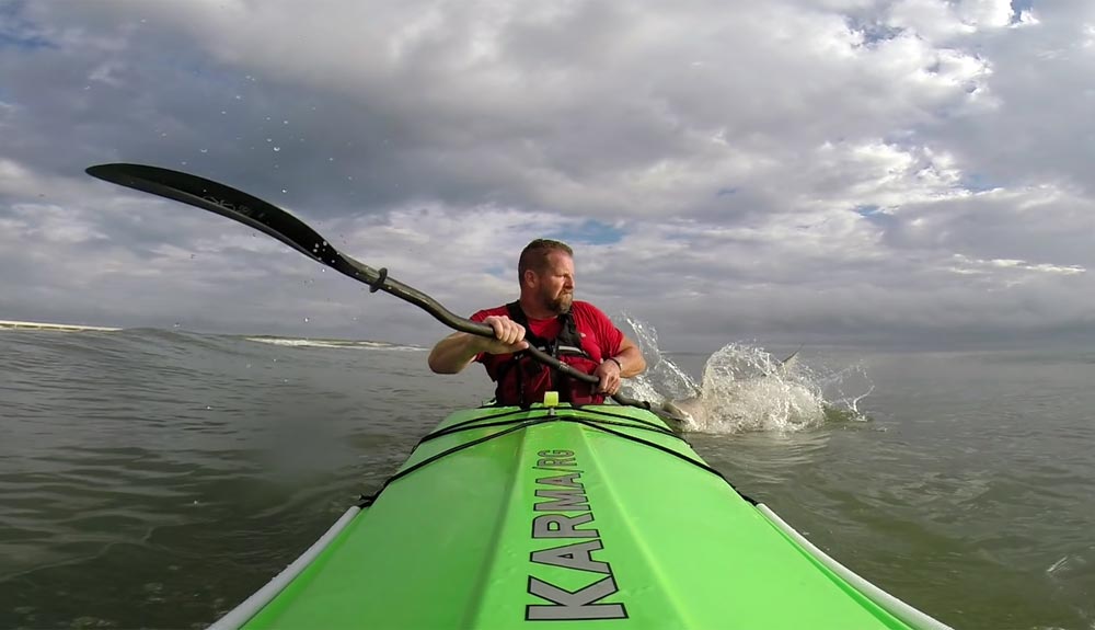 ¿Puede un tiburón perseguir a un kayak?