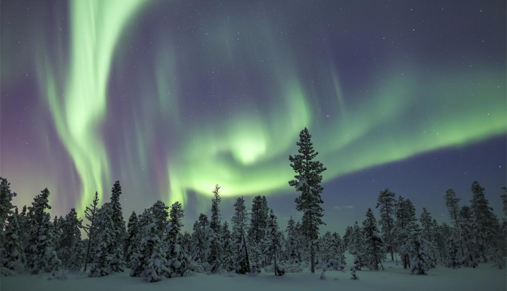 4 razones para conocer la naturaleza ártica