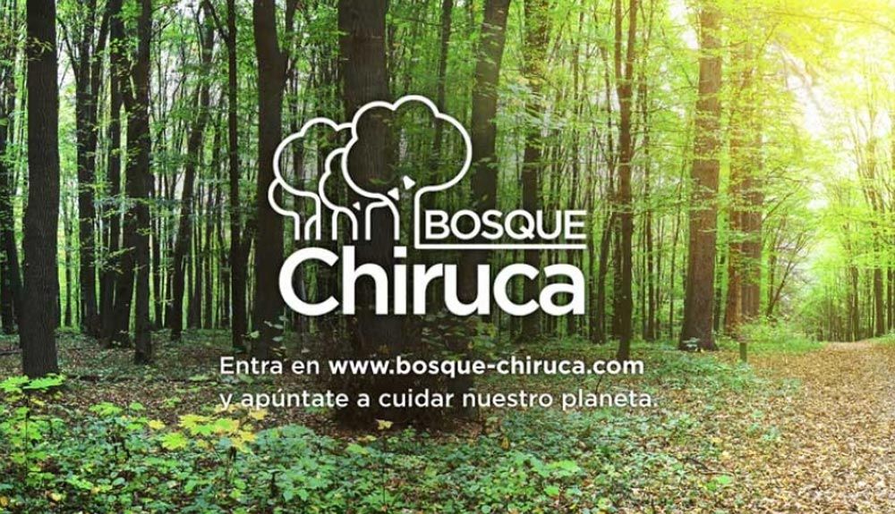 El bosque Chiruca crece