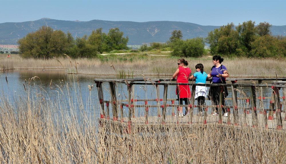 3 rutas con niños por el Parque Nacional de las Tablas de Daimiel 3 rutas con niños por el Parque Nacional de las Tablas de Daimiel