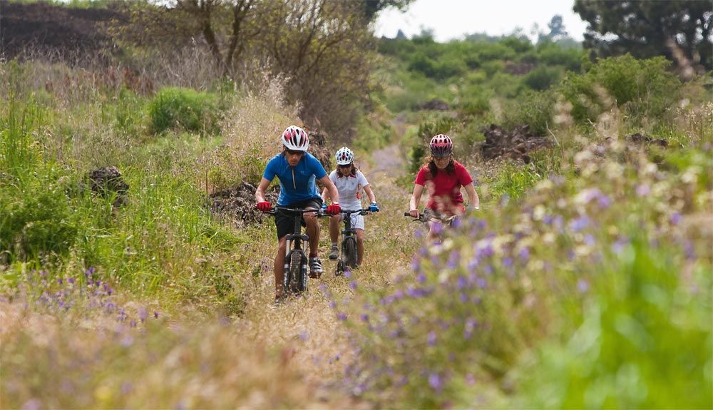 El deporte como actividad esencial para la sociedad