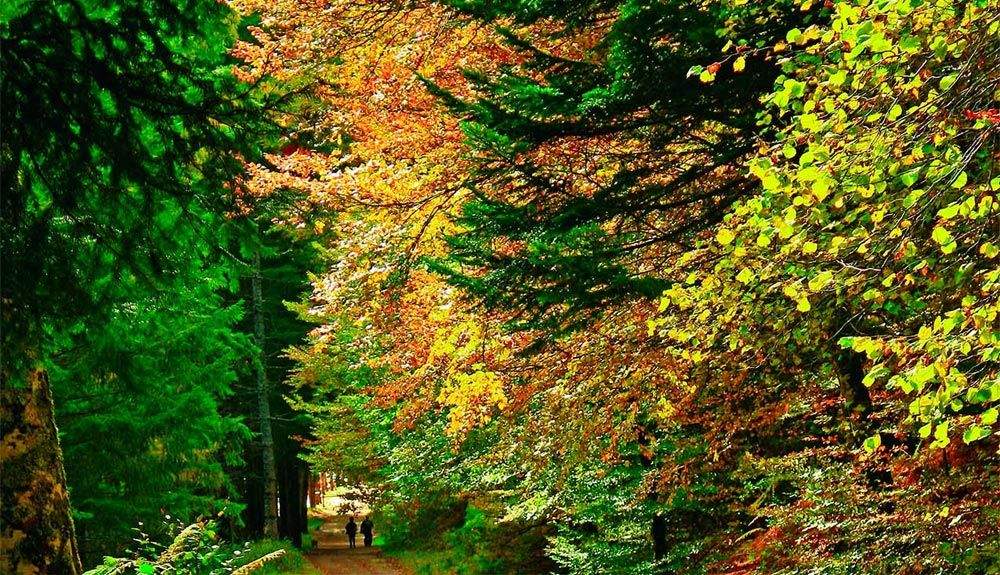 Navarra y su naturaleza, un plan brillante para el puente de mayo
