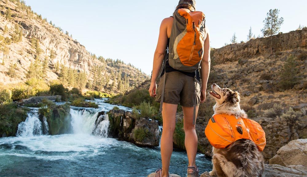 Cómo entrenar con tu perro para el trekking
