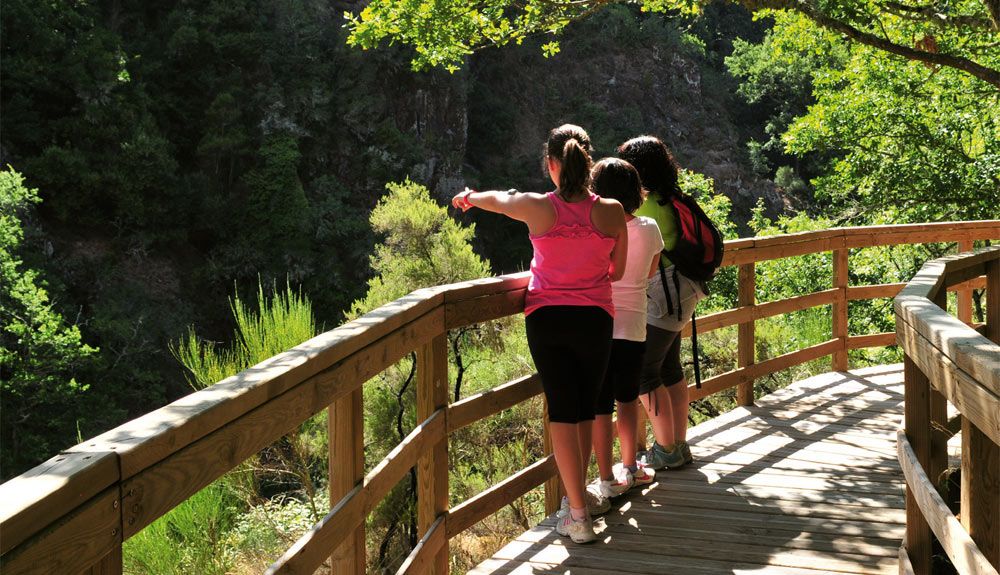 Rutas con niños: pasarela del río Mao Rutas con niños: pasarela del río Mao