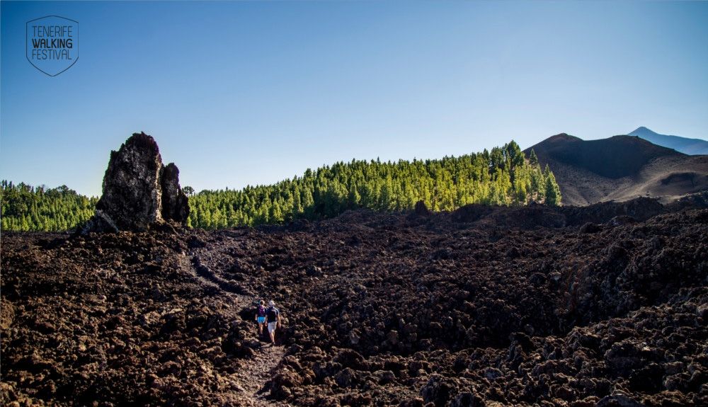 Tenerife Walking Festival 2018: Descubre las mejores rutas senderistas