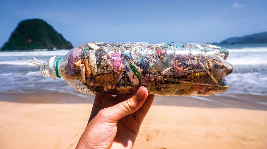 La invasión del “plastifish”