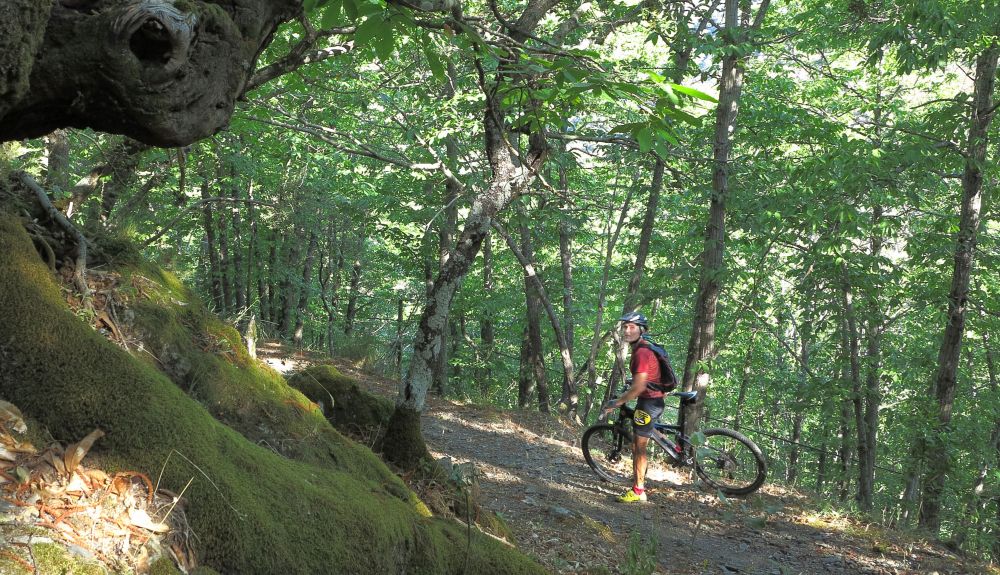 Quilamas BTT 2
