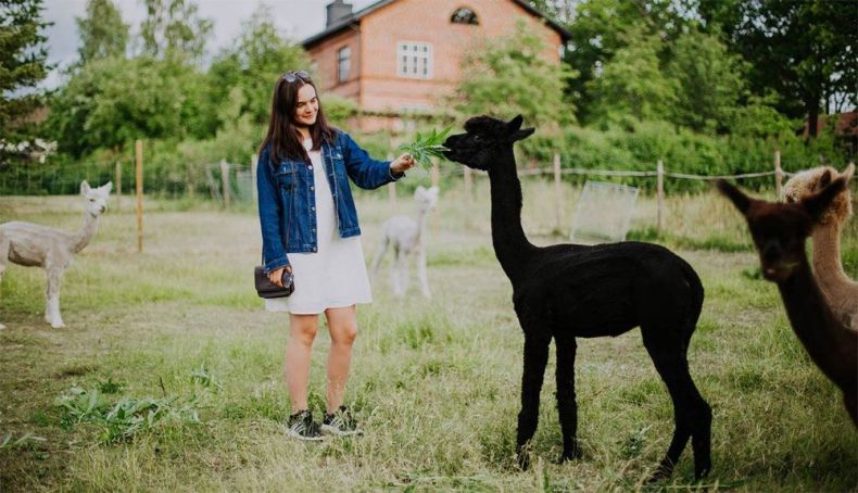 "Alquila un finlandés", una divertida campaña de Visit Finland