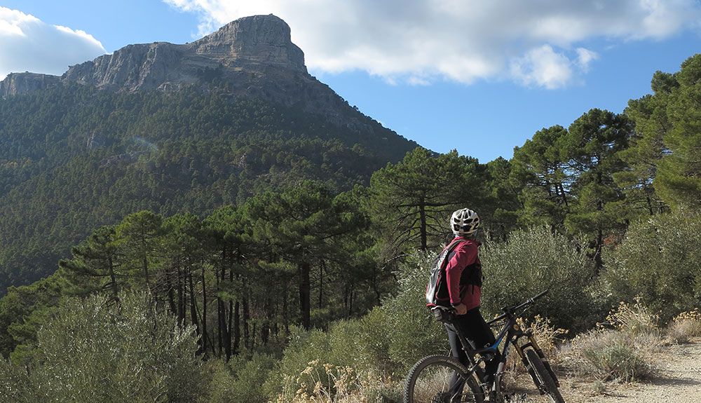 Auténtico territorio ciclomontañero para todos los gustos. La Sierra de Alcaraz en mountain bike.