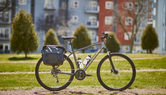 Trek Dual Sport 