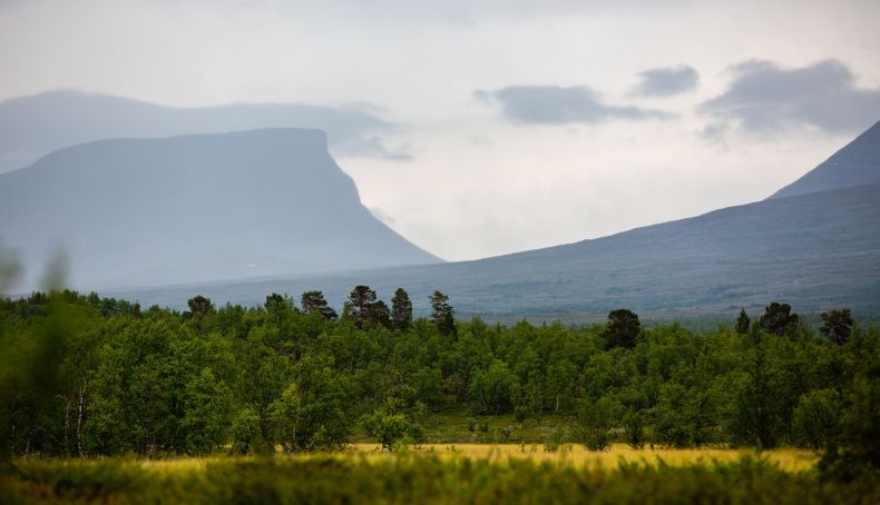 Parque Nacional de Abisko 