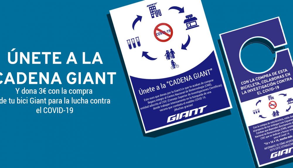banner web