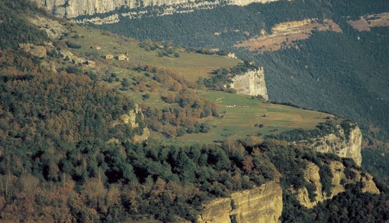 Bosque Rupit