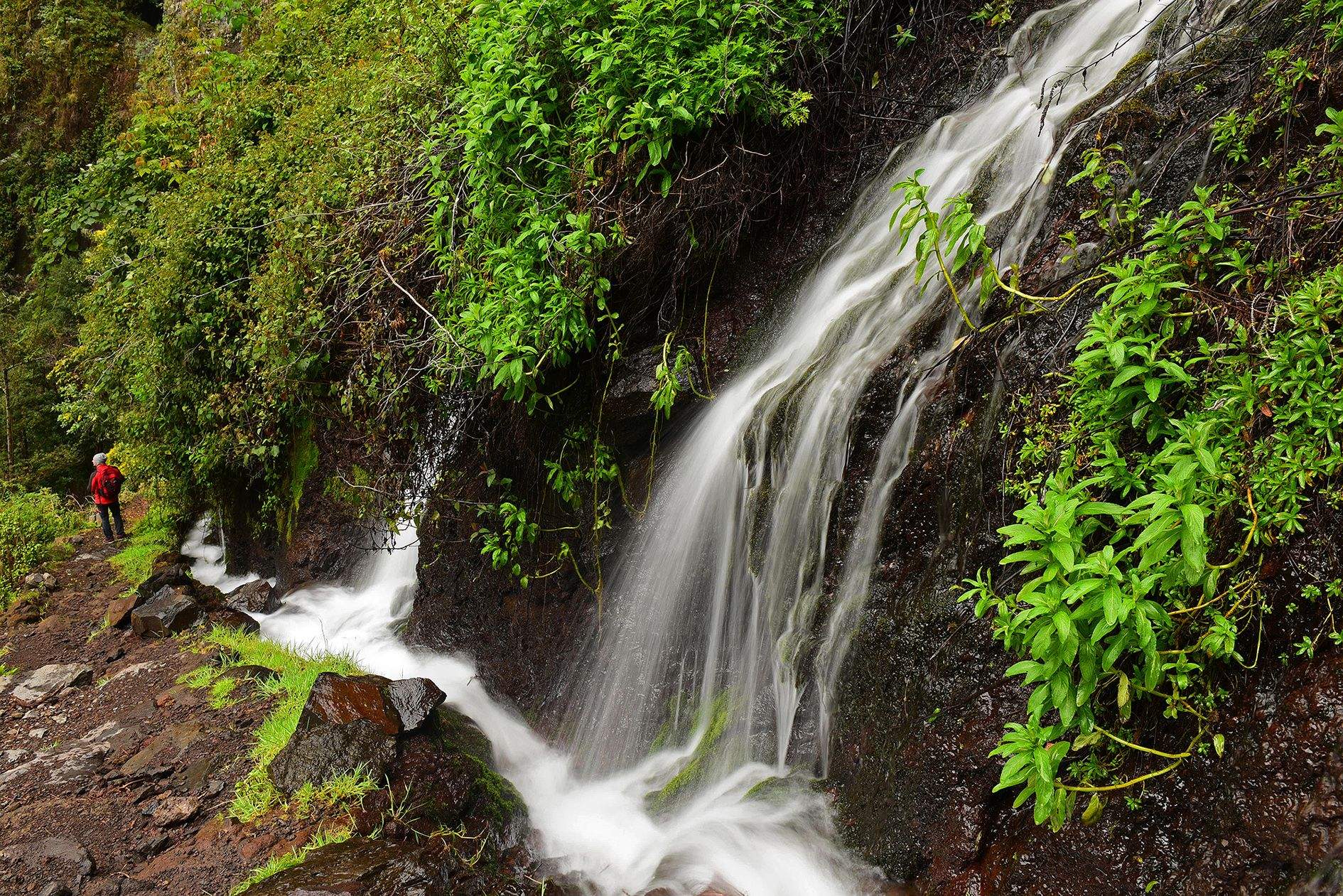 LaPalma MarcosyCordero SaúlSantos